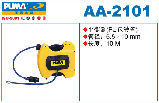 AA2101s